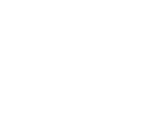 LOVERA CONSULTING